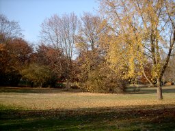 2003-11-10_Kleiner_Park